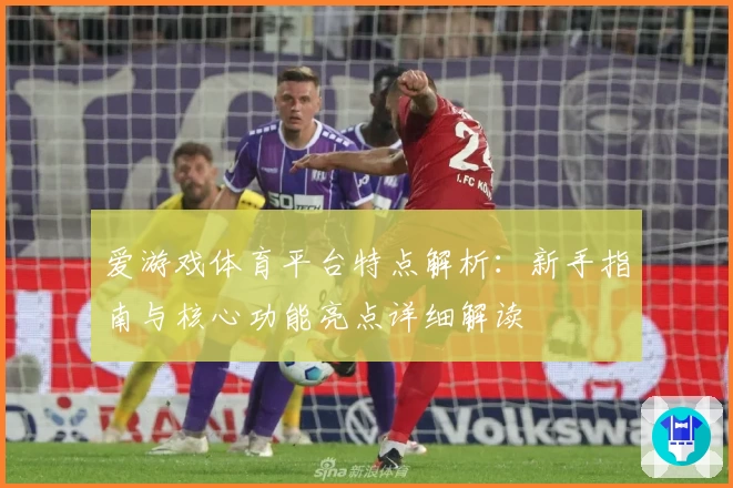 爱游戏体育平台特点解析：新手指南与核心功能亮点详细解读